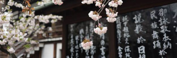 日語(yǔ)國(guó)際班